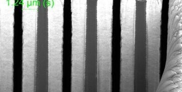 SEM cross-section of gold conformally plated on high-aspect-ratio silicon gratings
