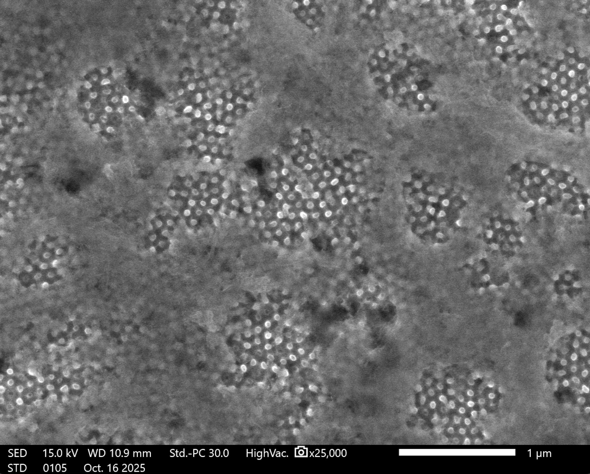 SEM image of ordered nanowire clusters grown in anodized-alumina templates, fabricated in-house